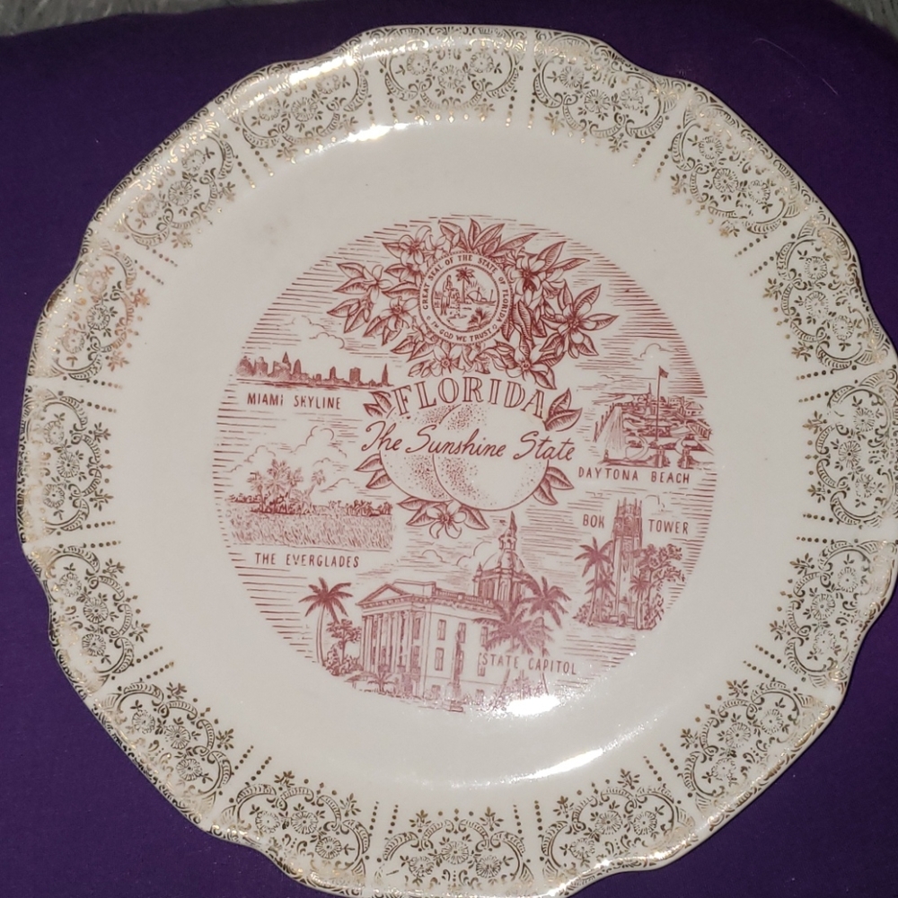 Florida state plate